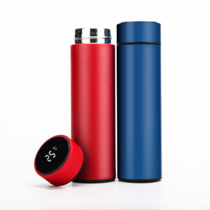 Temperature Bottle